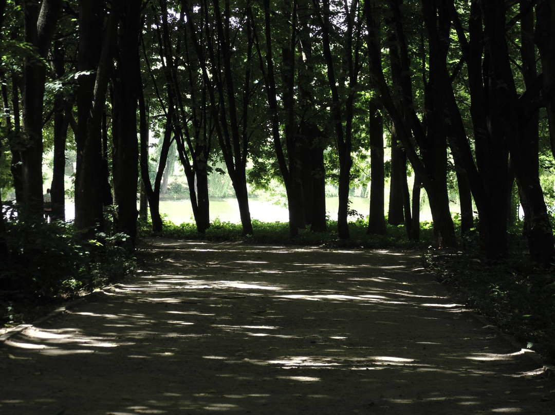 Park of Peoples Friendship-Vinnytsia必去景点