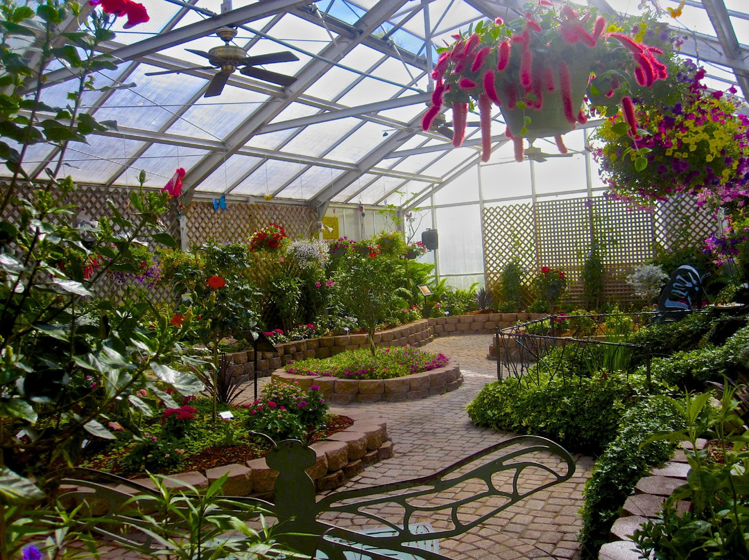 The Original Mackinac Island Butterfly House & Insect World景点图片