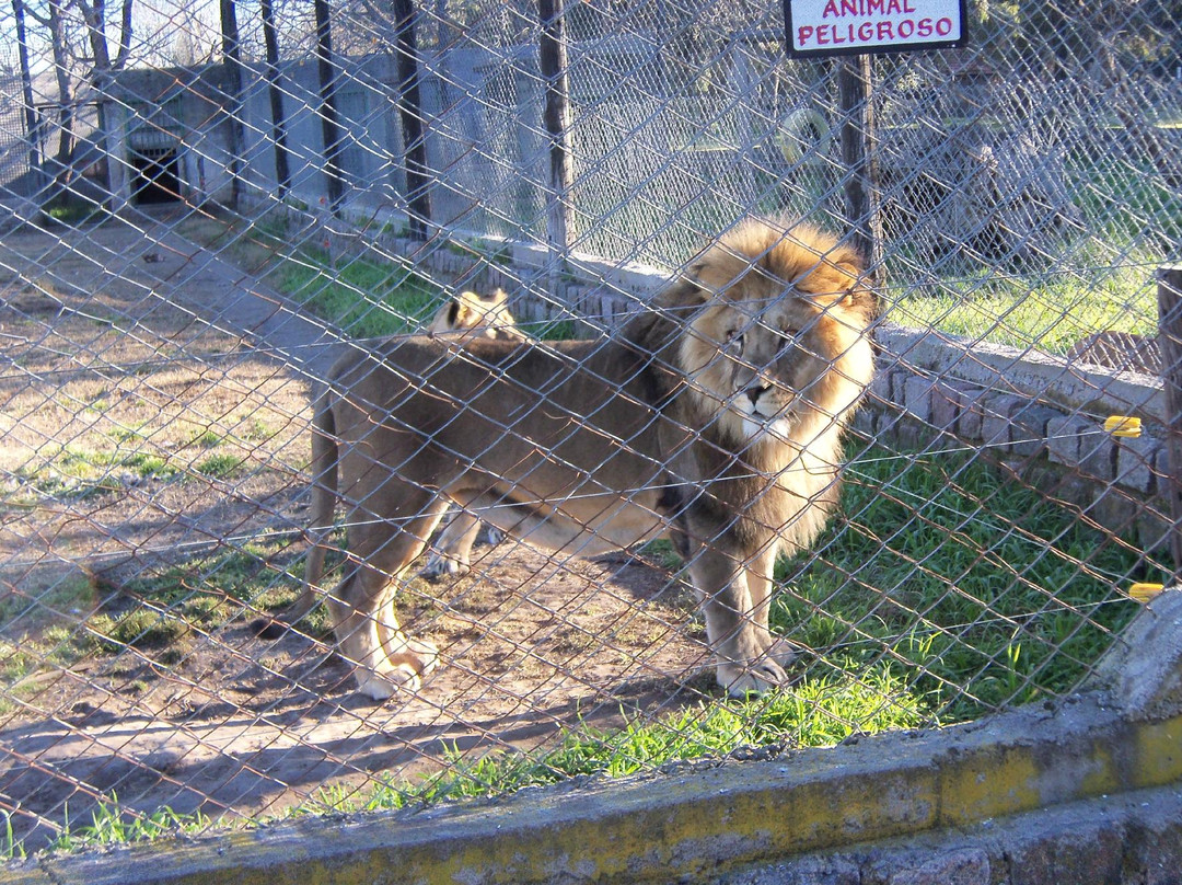 Parque Zoologico La Maxima-Olavarria必去景点