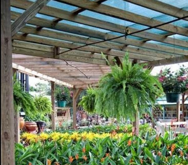 Lukas Nursery & Butterfly Encounter-Oviedo必去景点