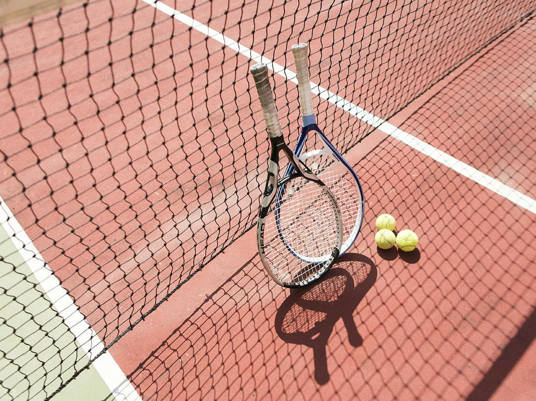 Tennis court at Hotel Flamingo Gatteo Mare景点图片