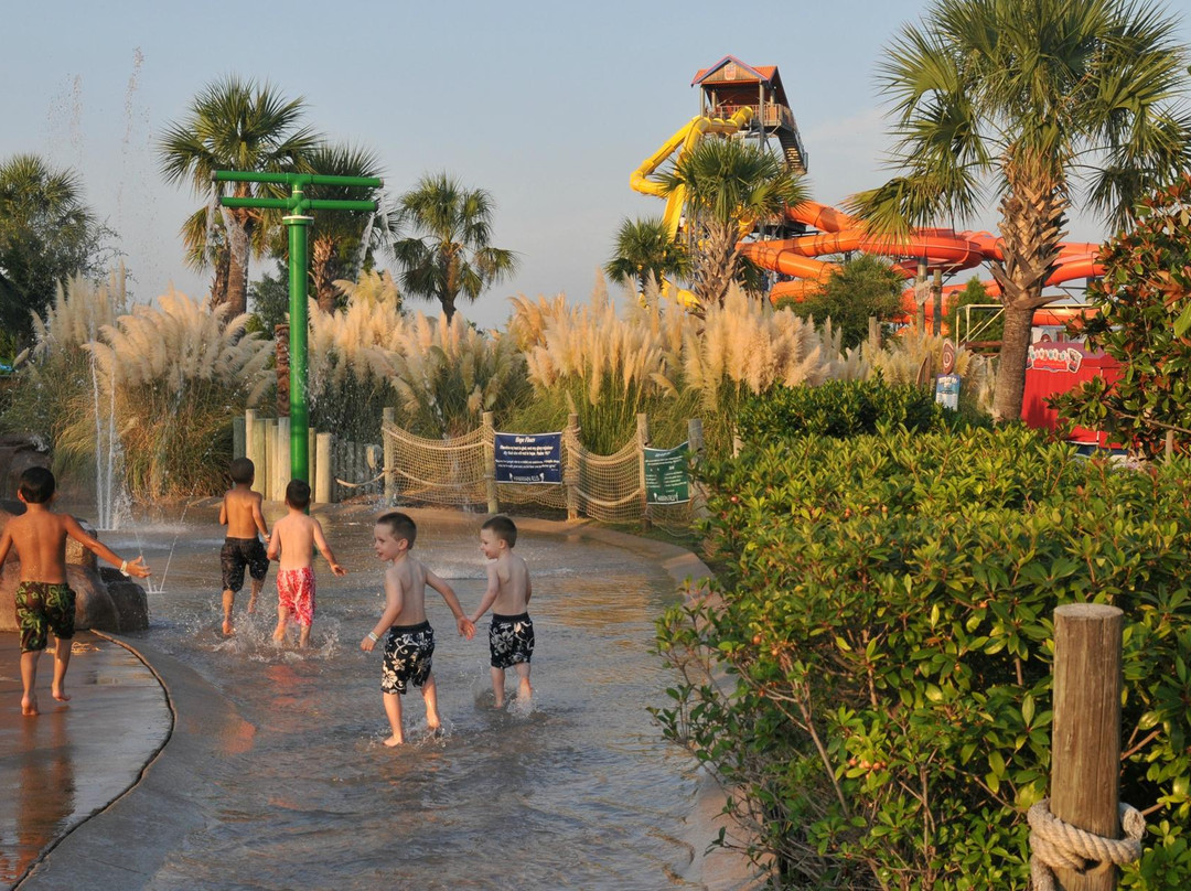 Hawaiian Falls The Colony-The Colony必去景点