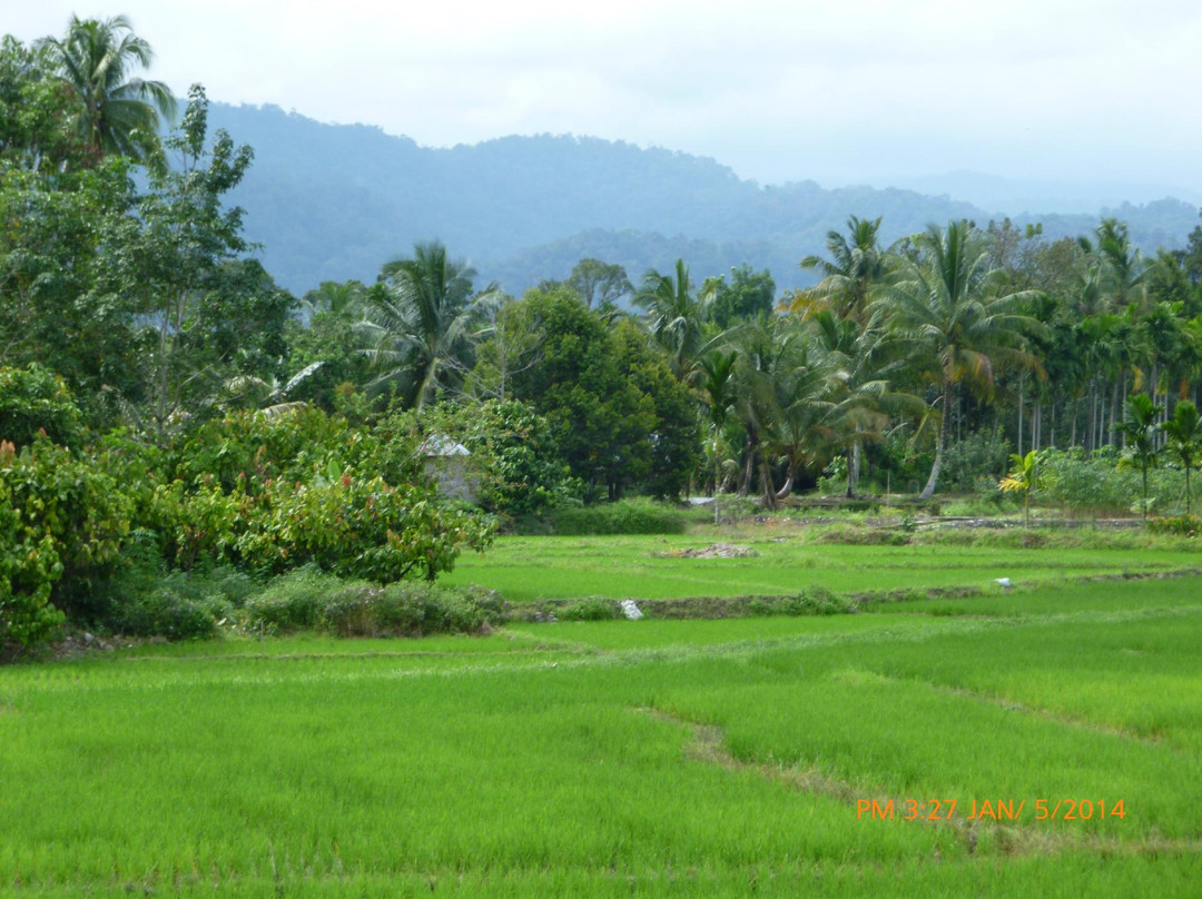 Wanda's Homestay主图