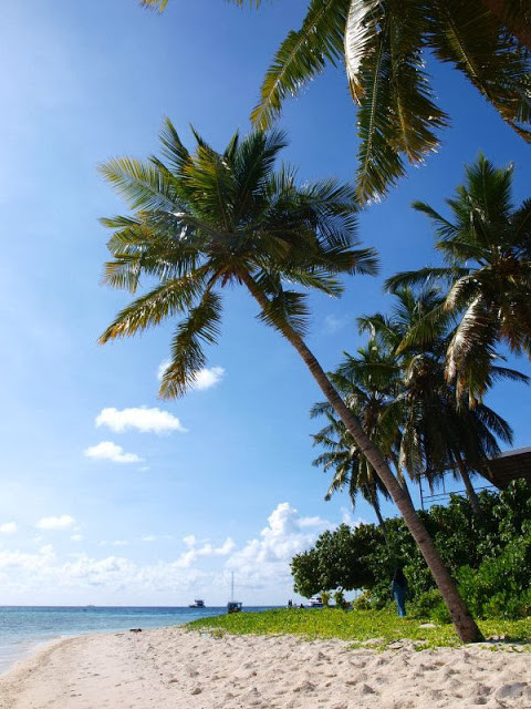 Dacha Maldives主图