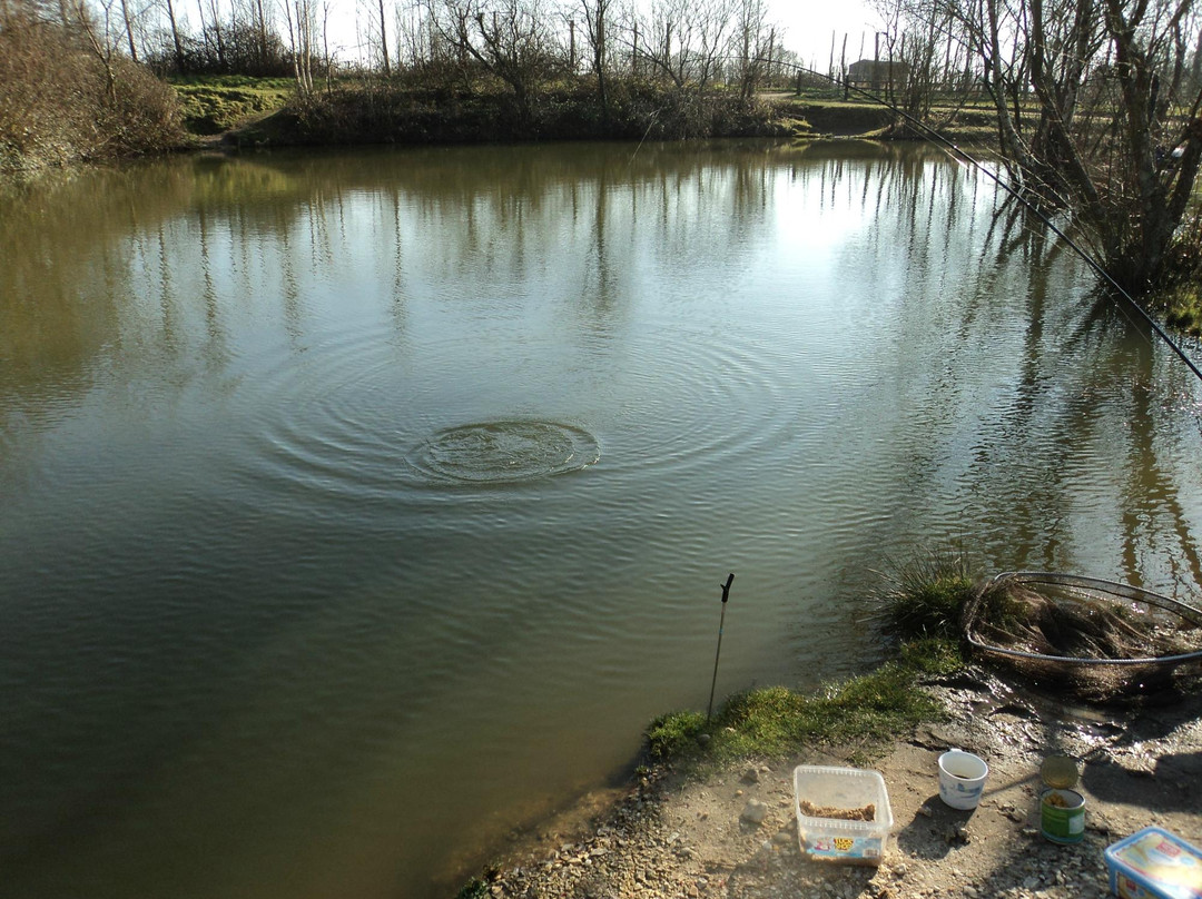 Orchard Lakes Fishery-New Milton必去景点