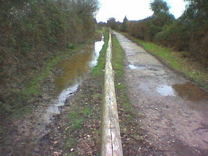 Hayling Billy Trail景点图片