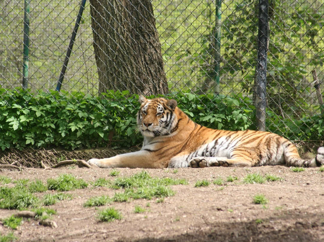 Pittsburgh Zoo & Aquarium景点图片