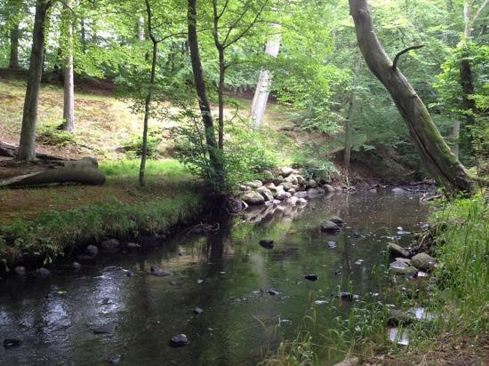 Moesgard Forrest-欧胡斯必去景点