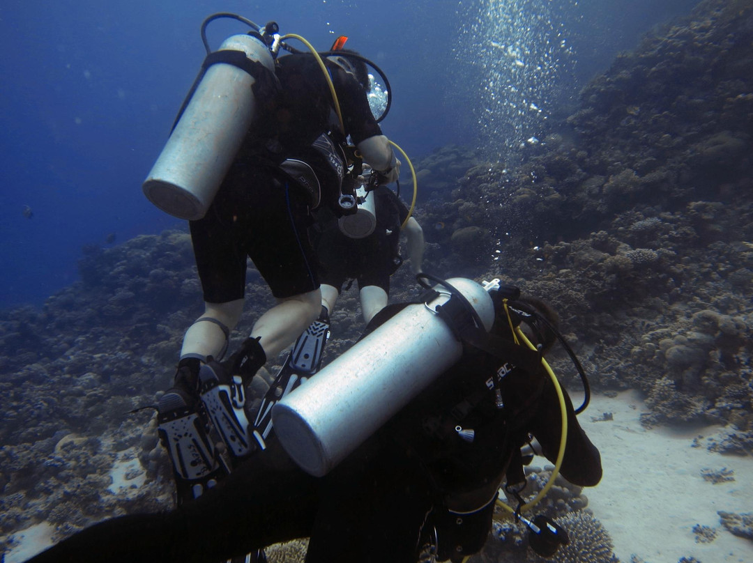 Scuba Diving North West景点图片