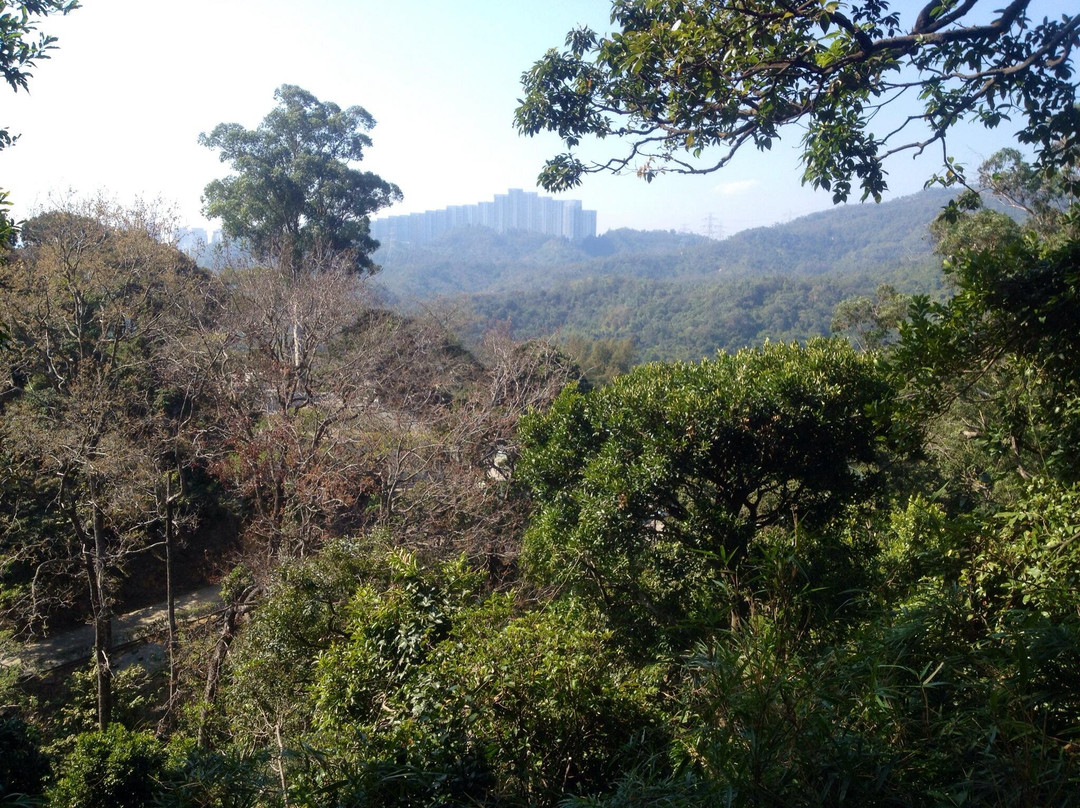 狮子山郊野公园-香港必去景点