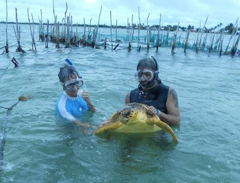 Pepe Dive Mahahual-Mahahual必去景点