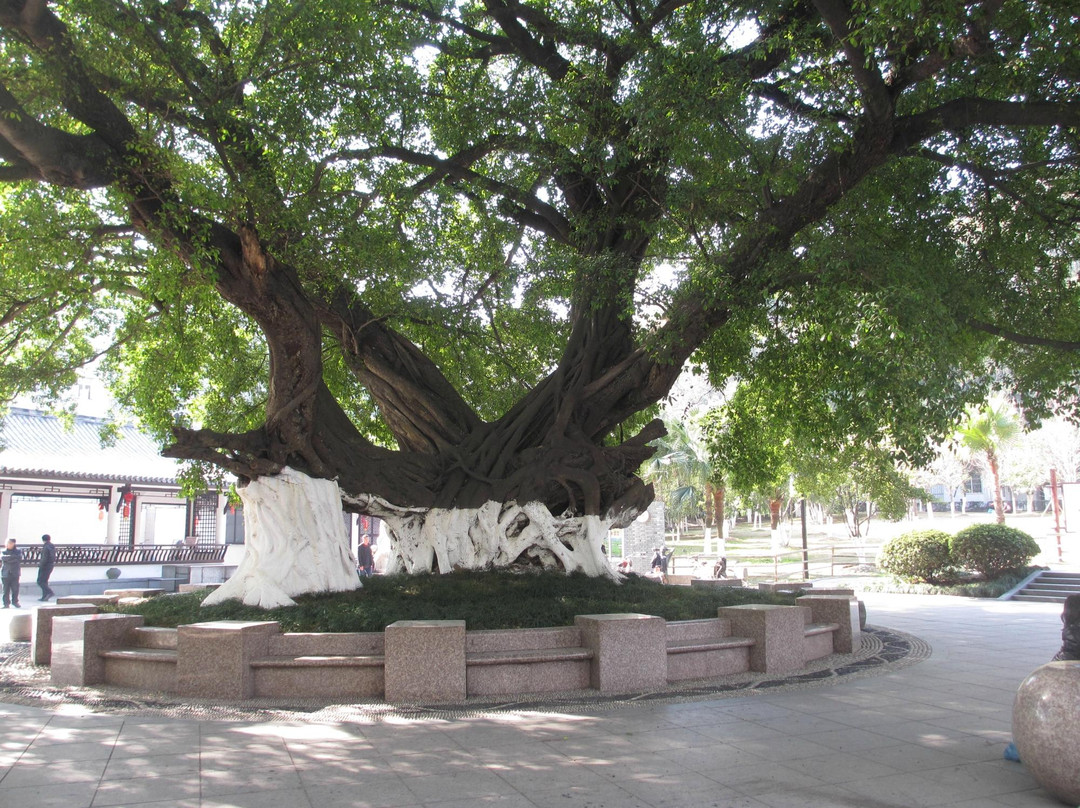 温州华盖山-温州市必去景点