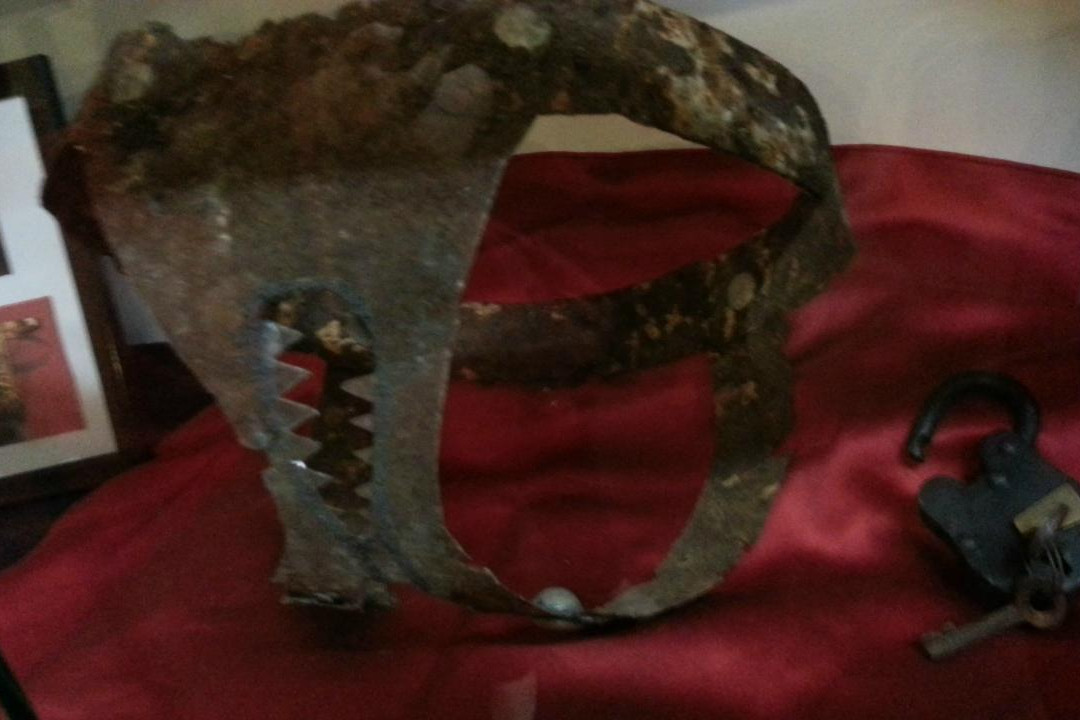 Curiosity Museum-奥尔顿塔必去景点