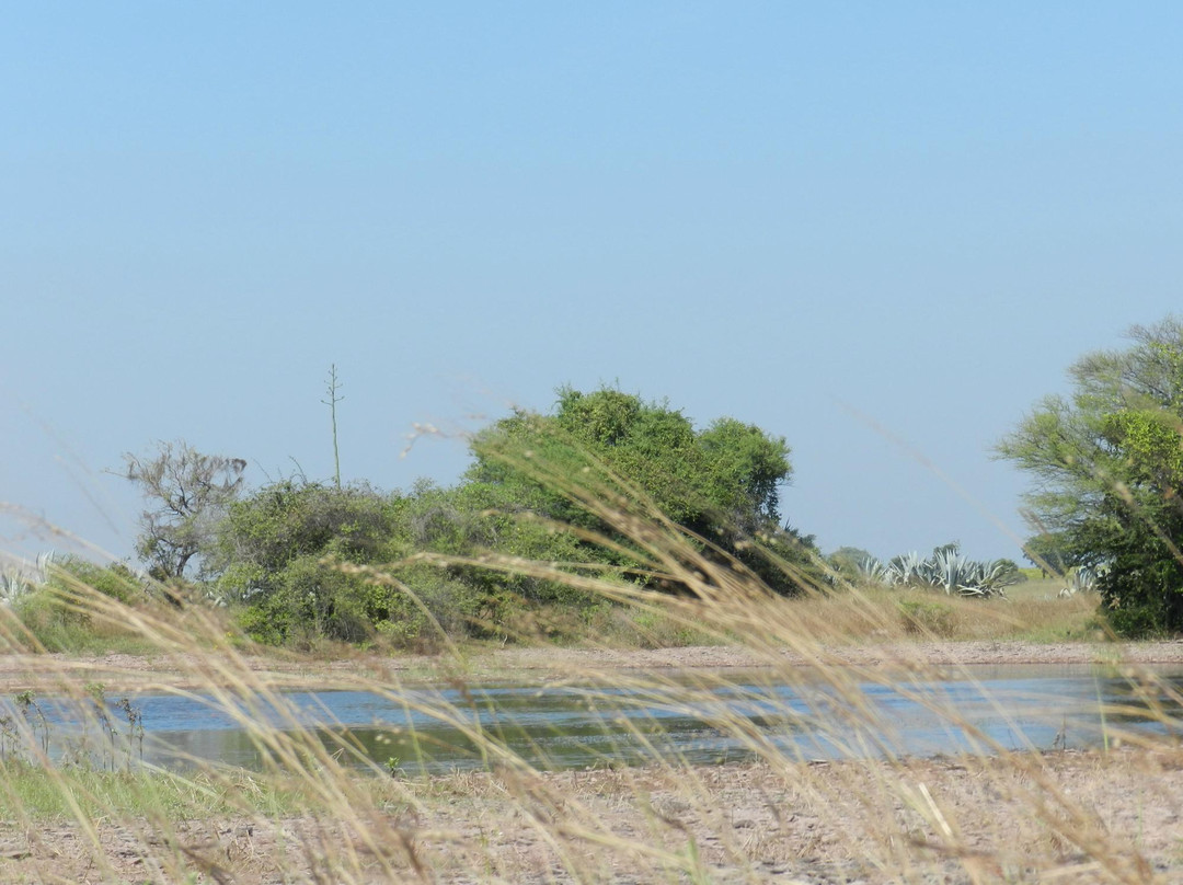 Rollapadu Wildlife Sanctuary-Kurnool必去景点