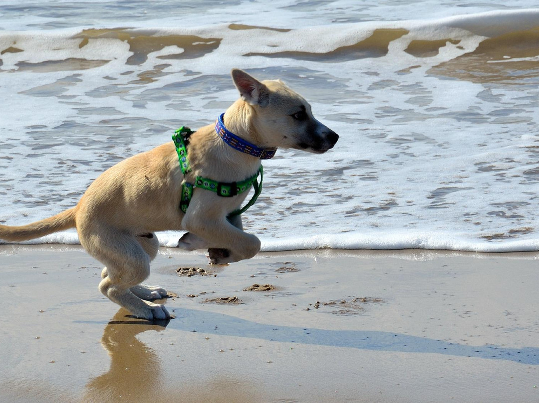 锡切斯散步道-锡切斯必去景点