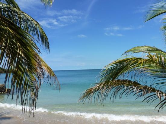 Isla Fuerte Ecolodge &  Diving Center景点图片