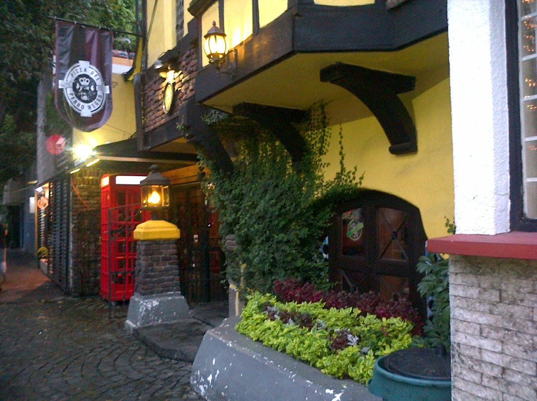 Pizza del Perro Negro主图