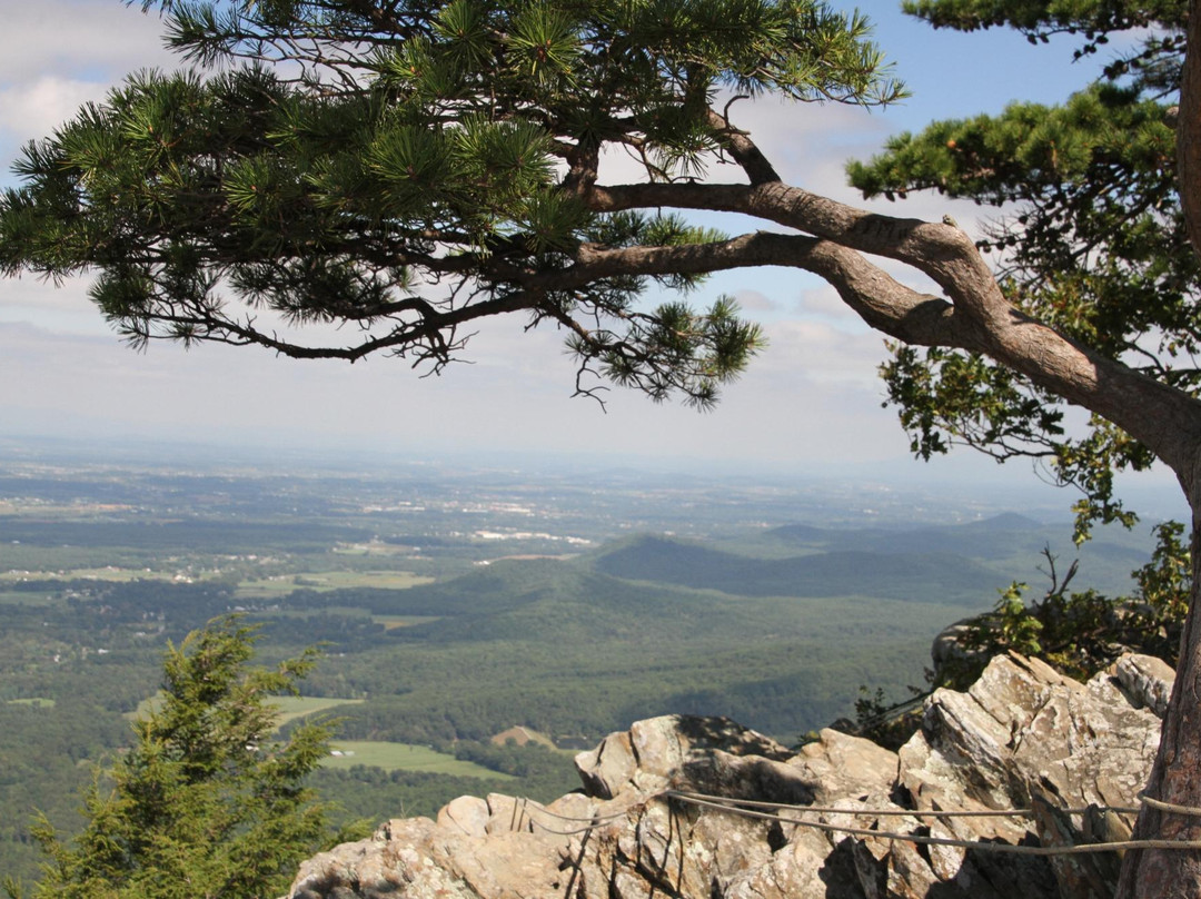 Raven's Roost Overlook-Lyndhurst必去景点