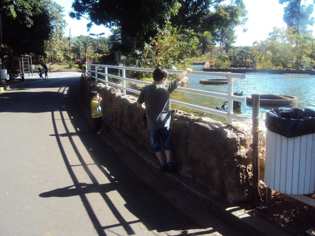 Parque Municipal Engenheiro Salvador Arena-圣贝尔纳多-杜坎普必去景点