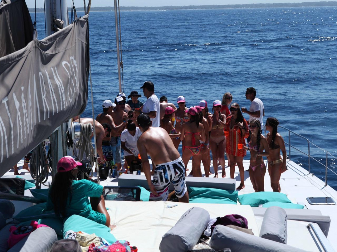 Catamaran Maxicat景点图片