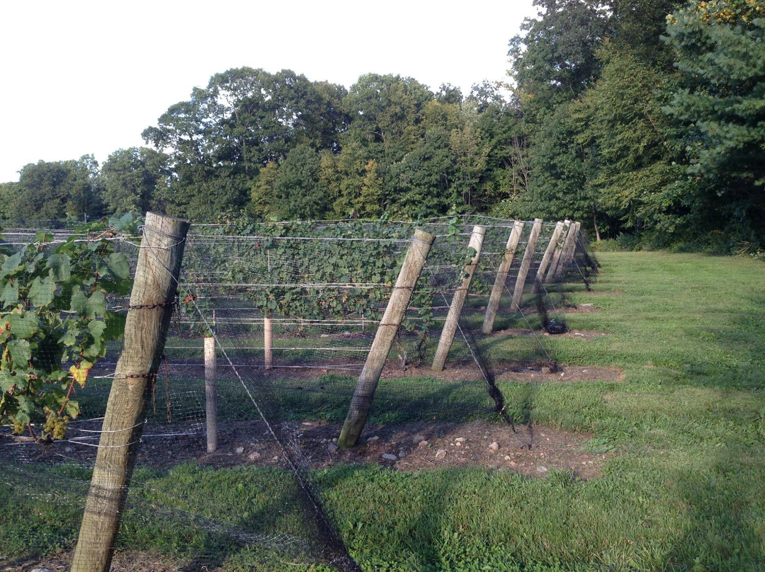 Chamard Vineyards-Clinton必去景点