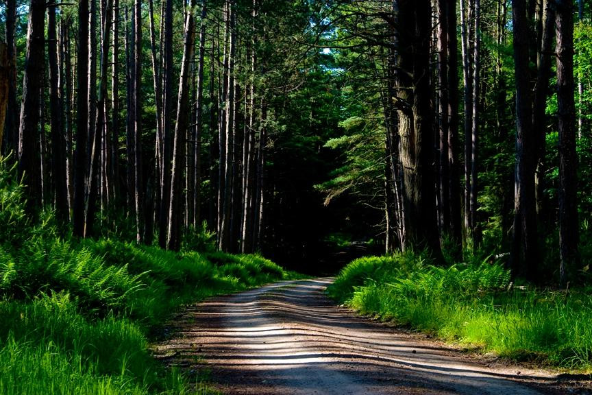 Brookville旅游攻略图片