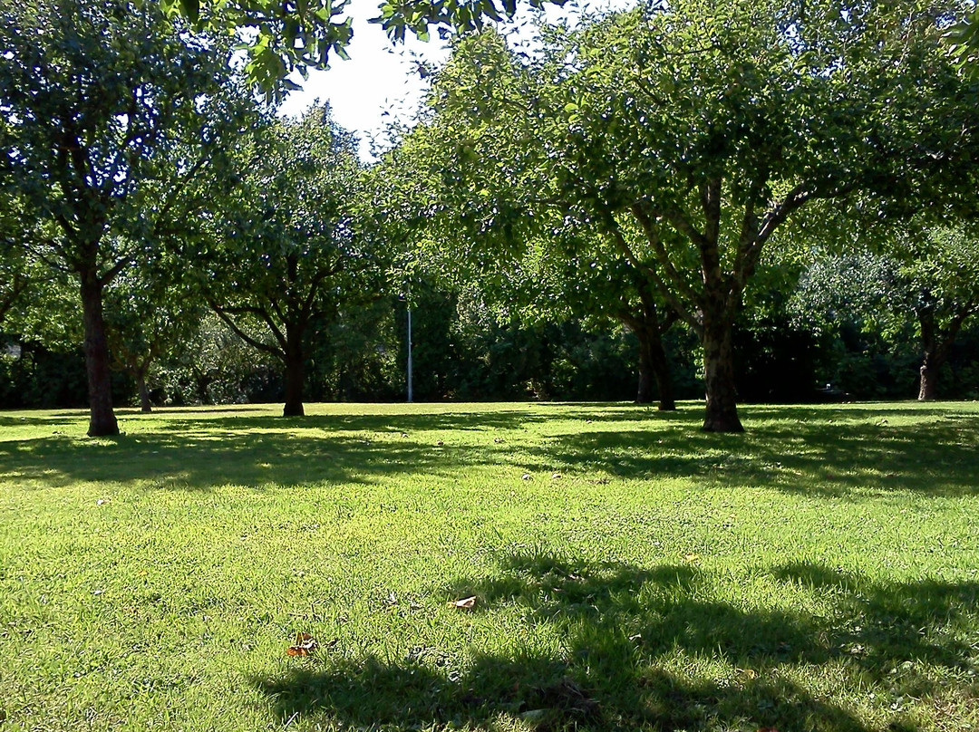Stadsträdgården-乌普萨拉必去景点