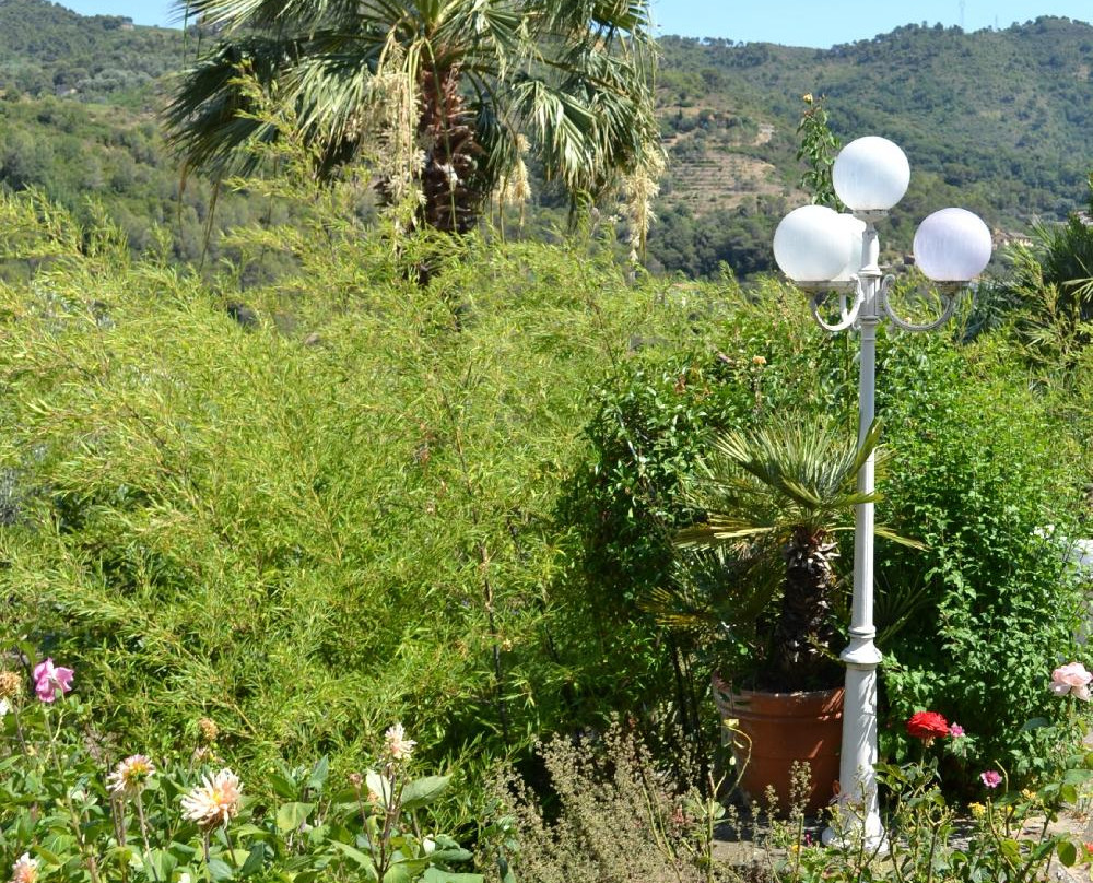 Agriturismo La Vecchia主图