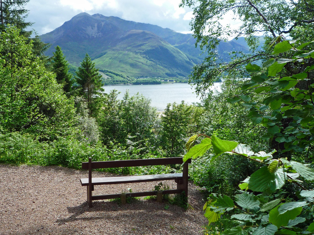 Glencoe Lochan景点图片
