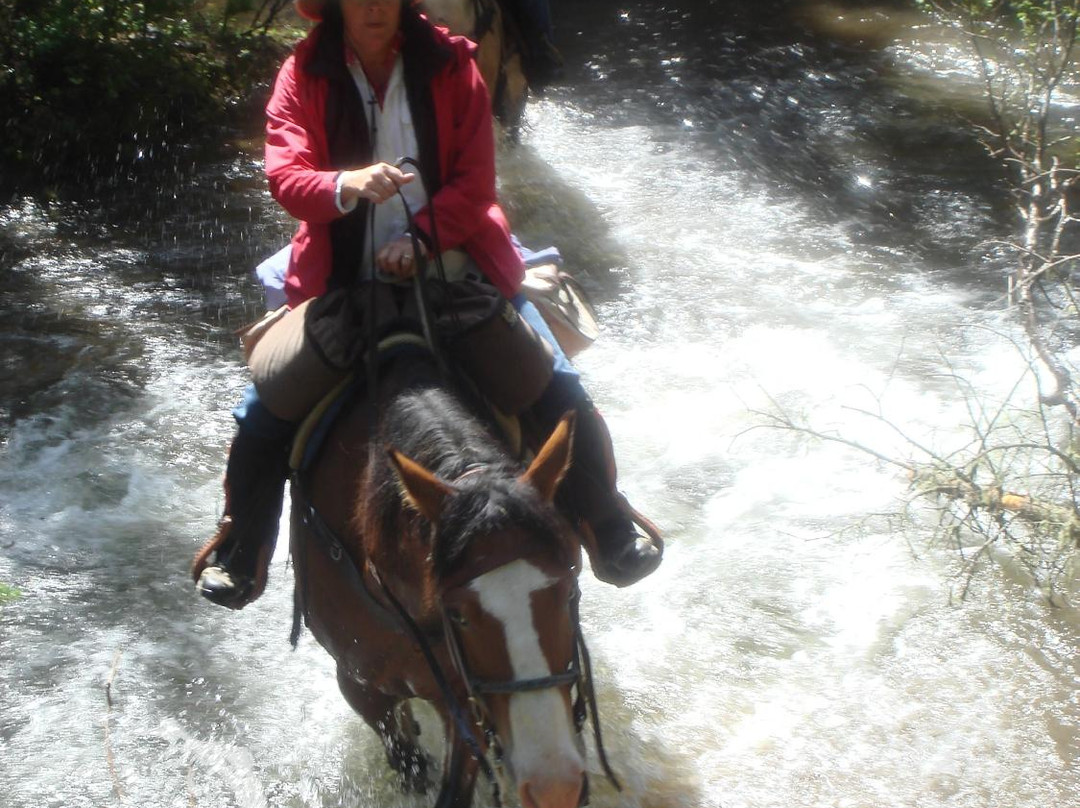 Hell's A-Roarin' Outfitters-加德纳必去景点