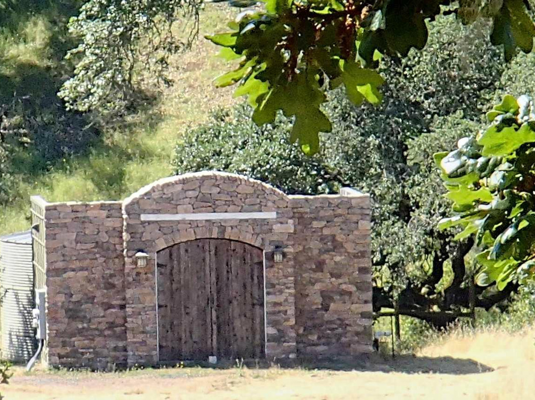 Bennett Valley-圣罗莎必去景点