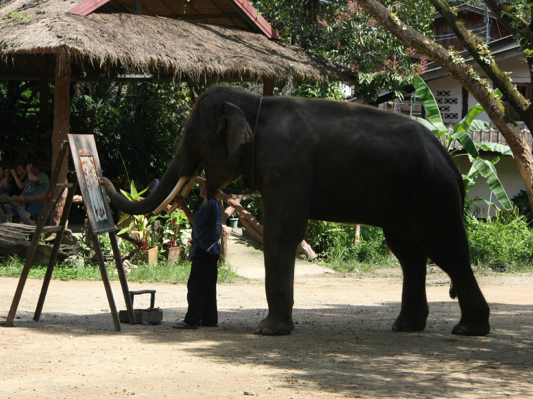 Thai Unique Tour-清迈必去景点