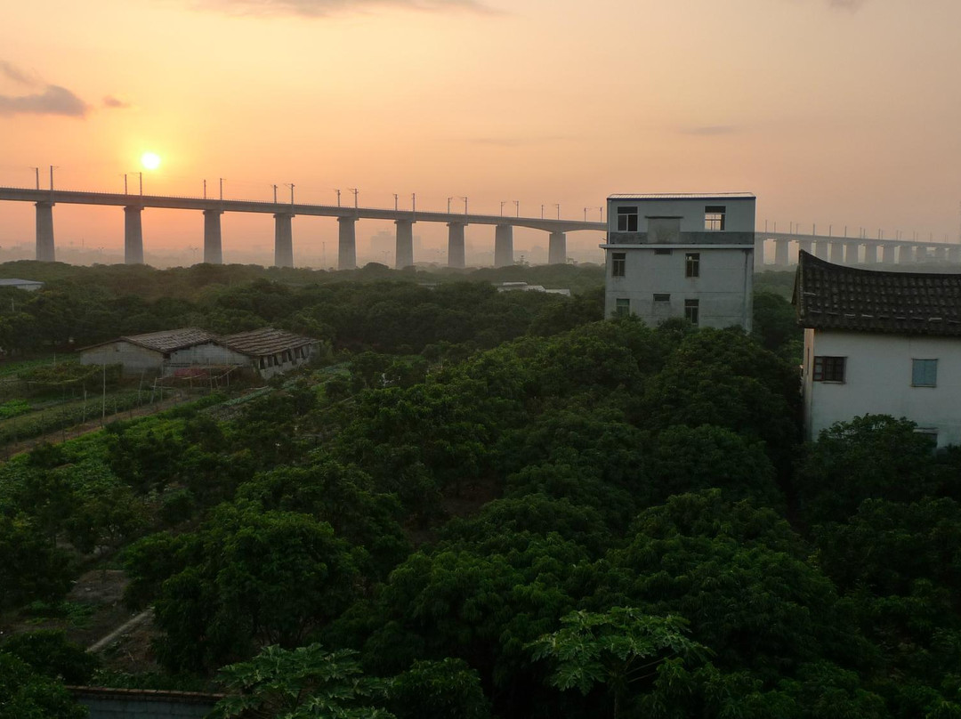 莆田梅峰寺景点图片