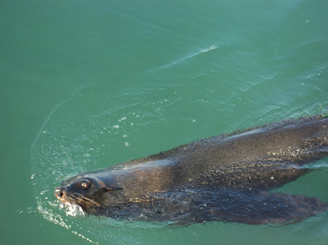 Hylton Ross Exclusive Touring-开普敦中心区必去景点