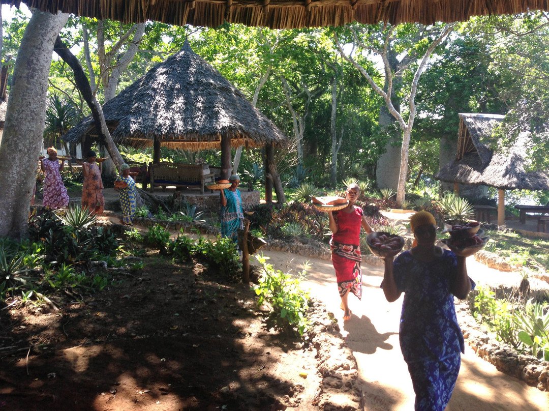 Pilli Pipa Dhow Safari-Shimoni必去景点