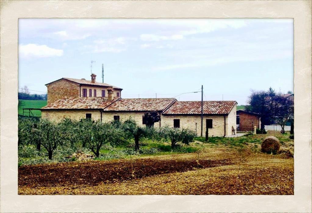 B&B Il Piccolo Melograno主图
