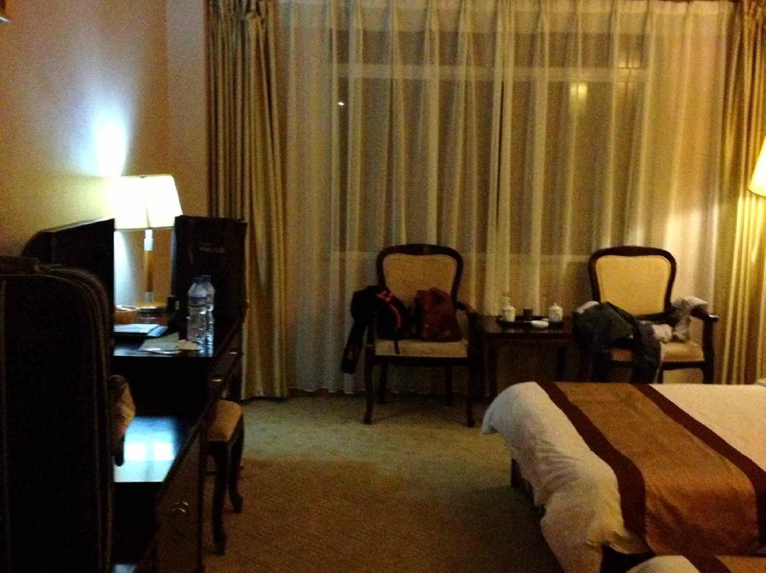 乐熙大酒店主图