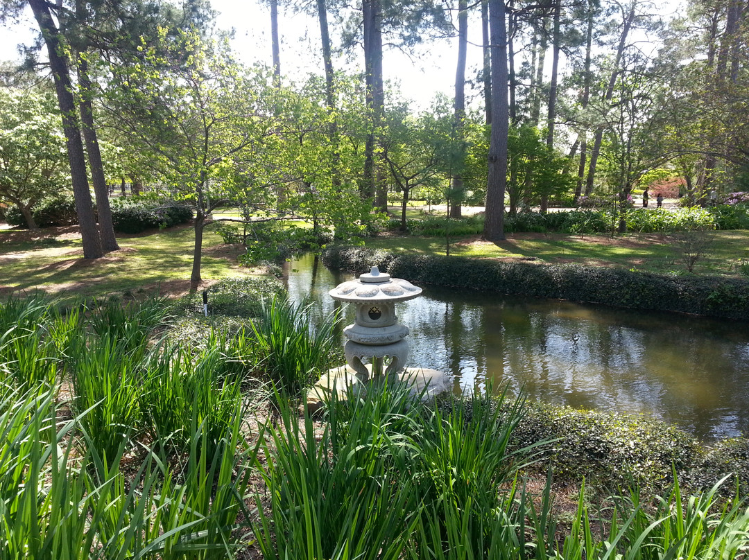 赫曼公园-休斯顿必去景点