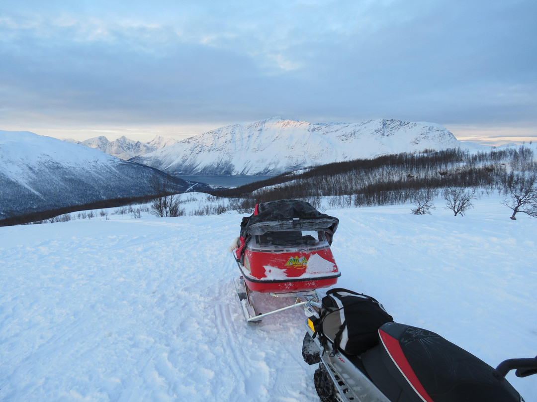 Boreal Opplevelser Day Tours景点图片