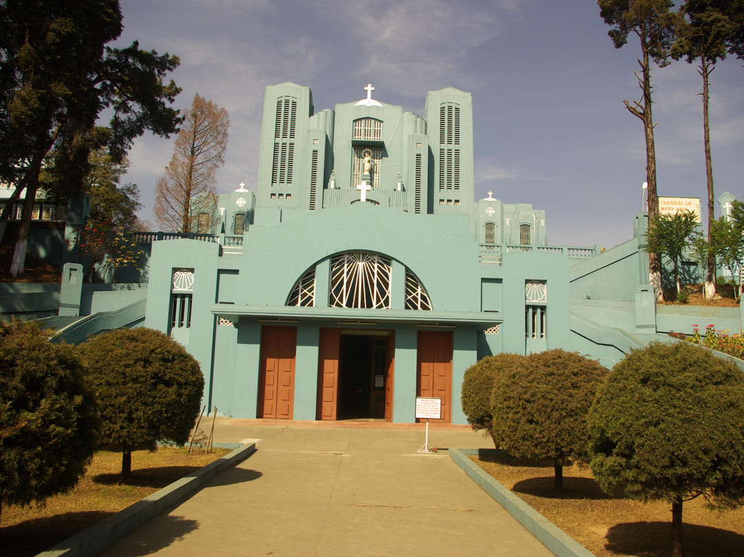 Cathedral of Mary Help of Christians景点图片