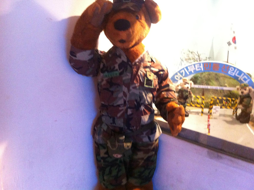 Teddy Bear Farm-束草市必去景点
