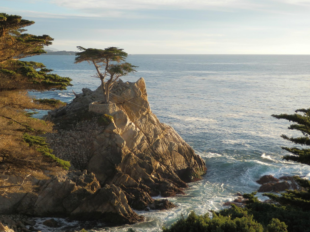 17英里路-蒙特雷必去景点