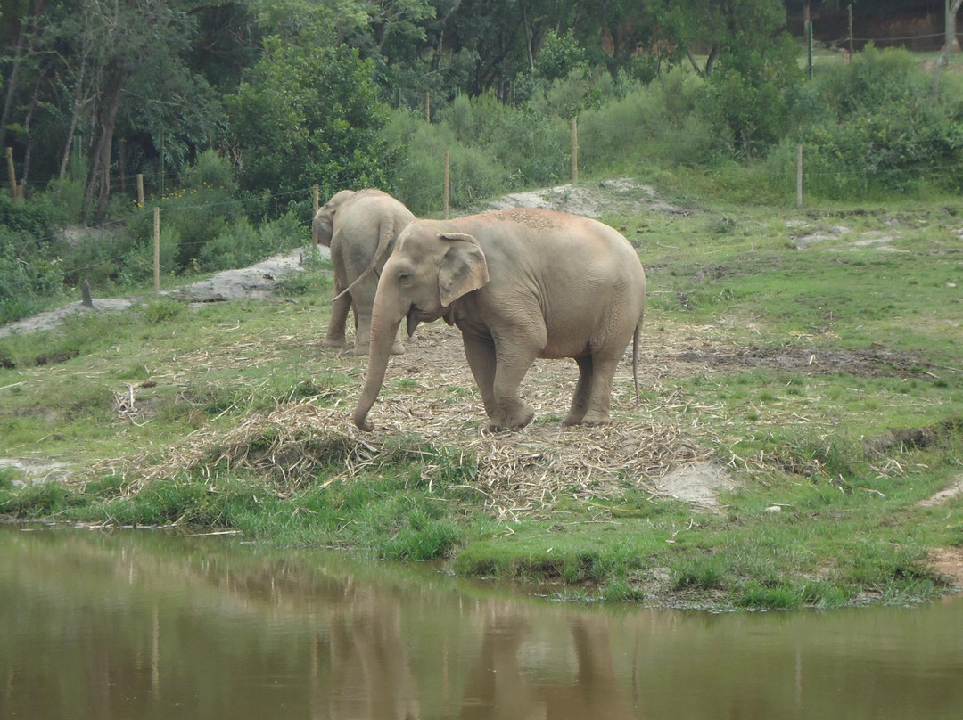 Zooparque-Itatiba必去景点