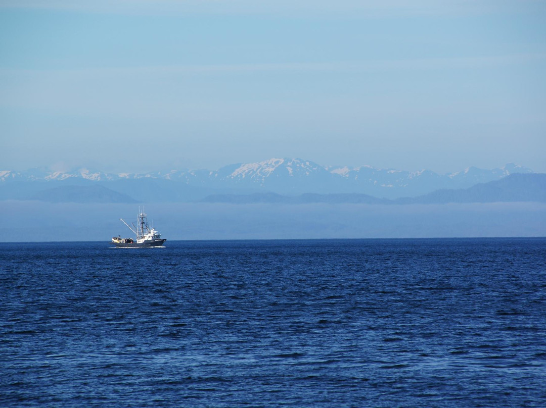 Scotia Bay Bed and Breakfast主图