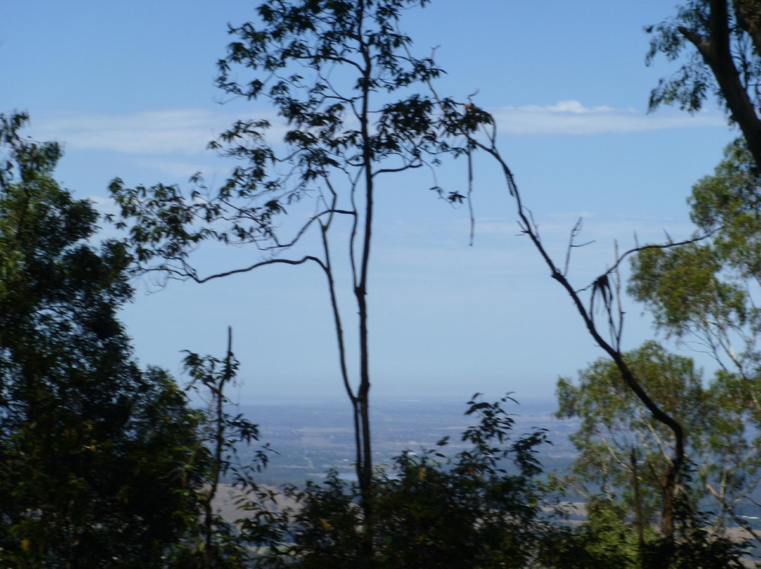 Tree Fern Gully Track-墨尔本必去景点