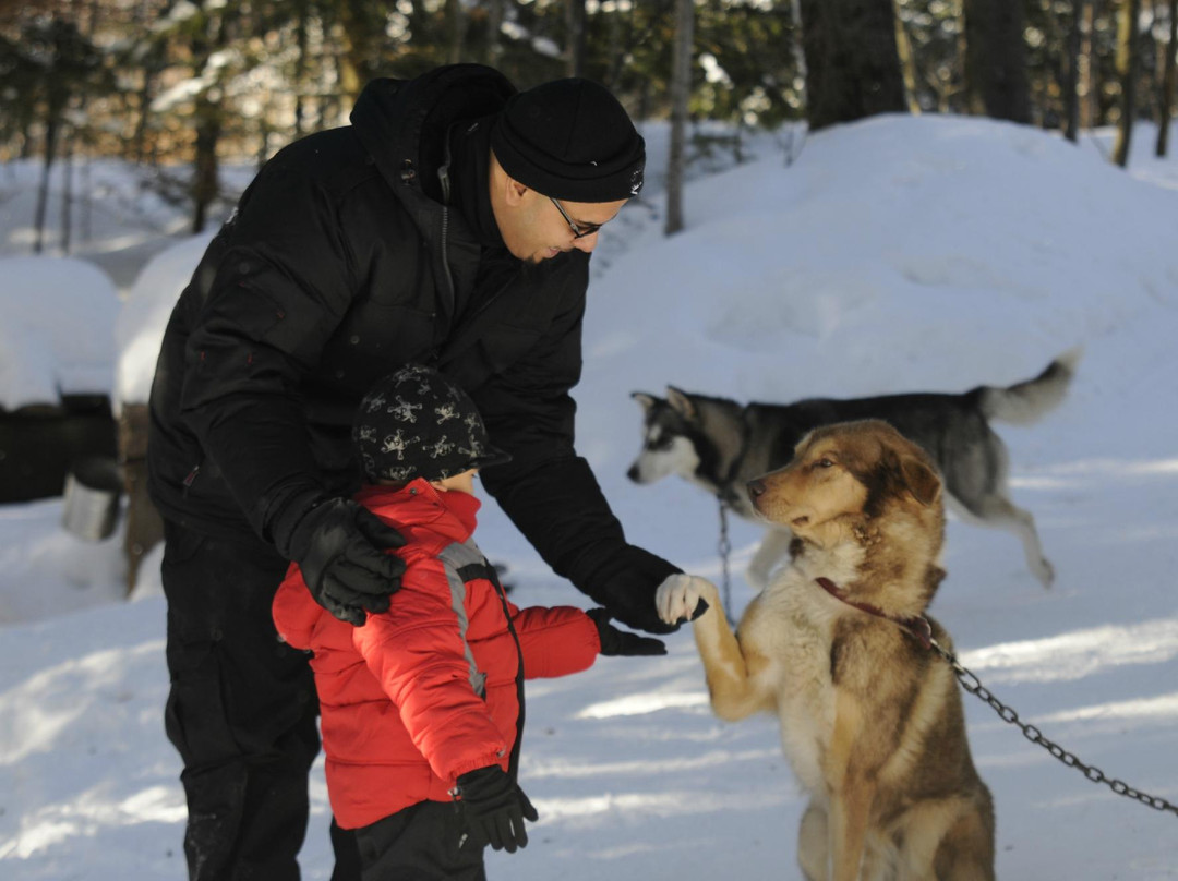 Aventure du Husky-Labelle必去景点