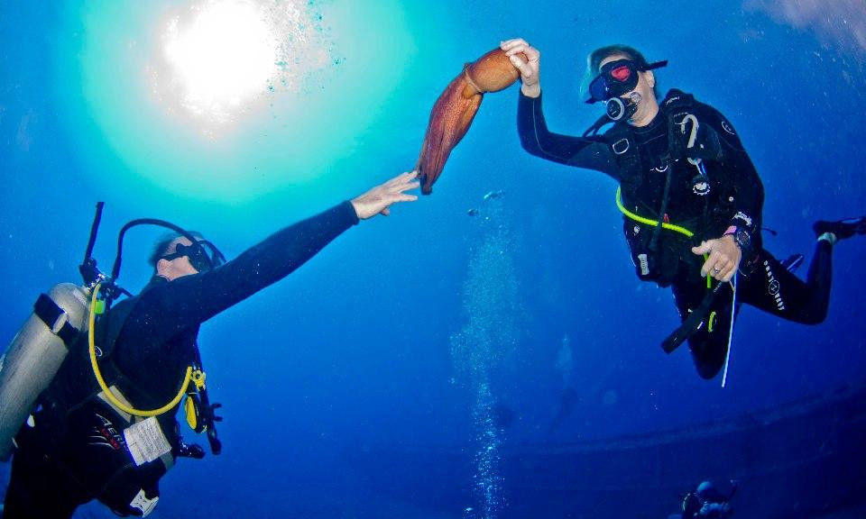 Underwater Oahu-怀厄奈必去景点