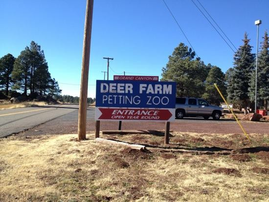 大峡谷鹿场-威廉姆斯必去景点