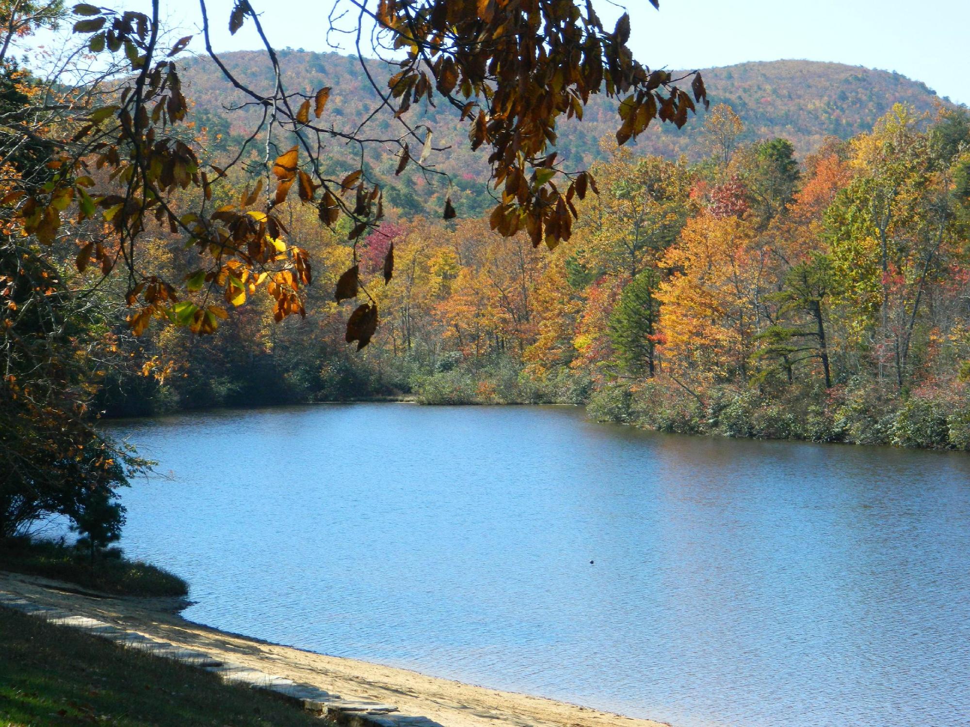 Southwyck Farm Bed and Breakfast-客卧