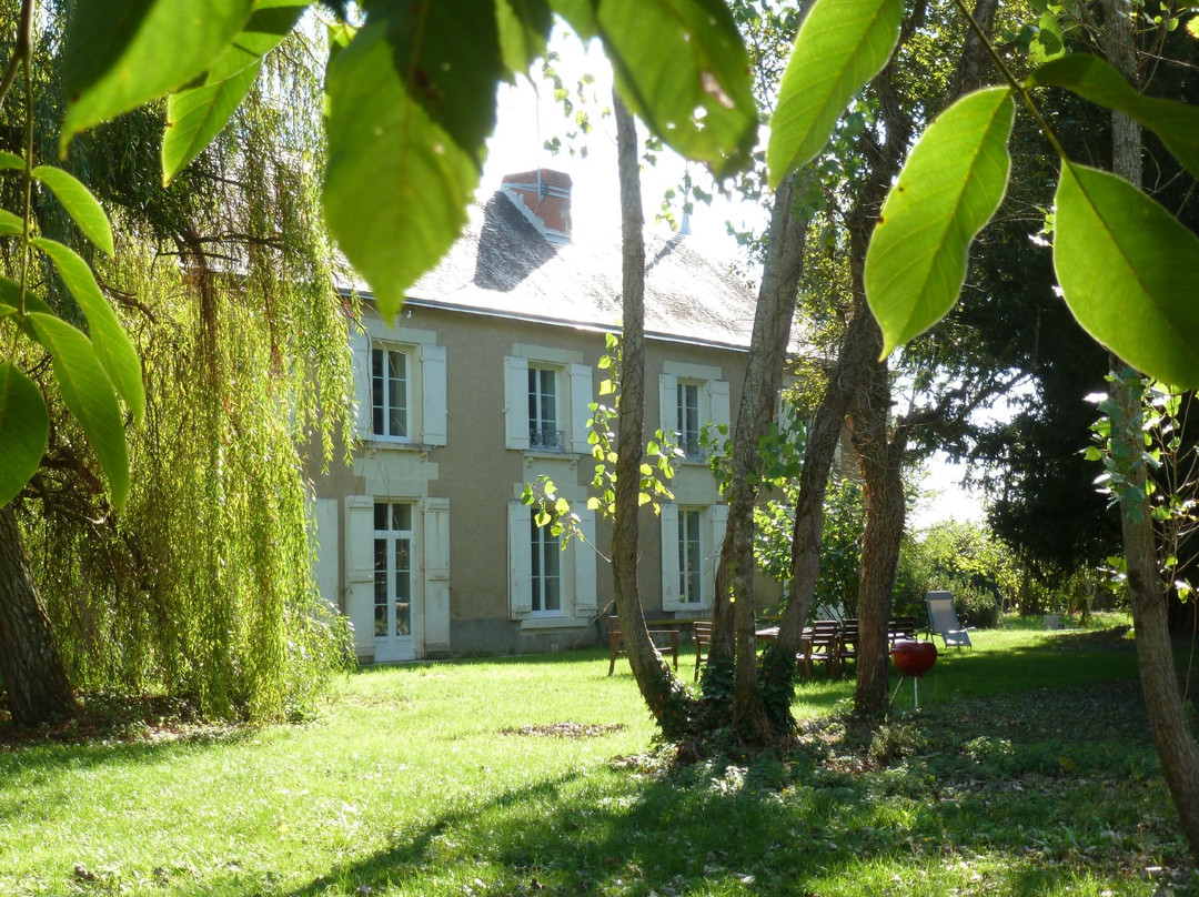 Bonneuil-Matours酒店住宿-Le Pireau - Gîtes